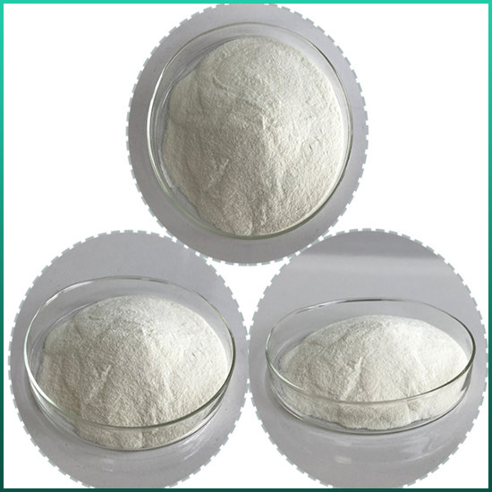 Gala-Galactosidase
